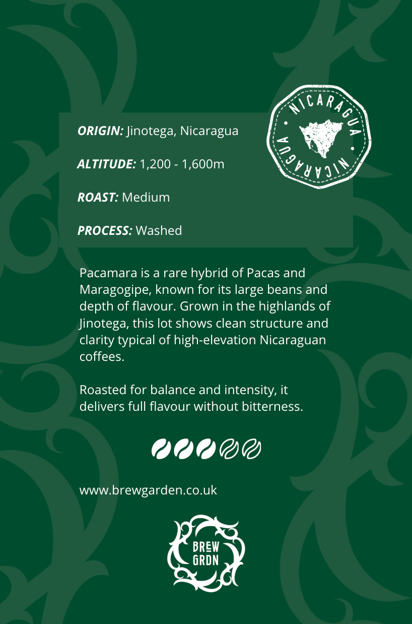 LIMITED EDITION - Pacamara beans