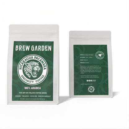 LIMITED EDITION - Pacamara beans