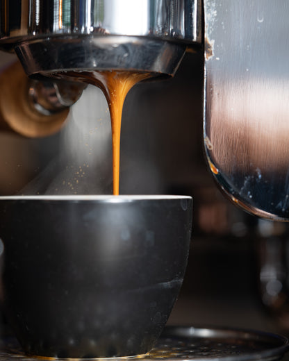 The Brewgarden Discovery Pack